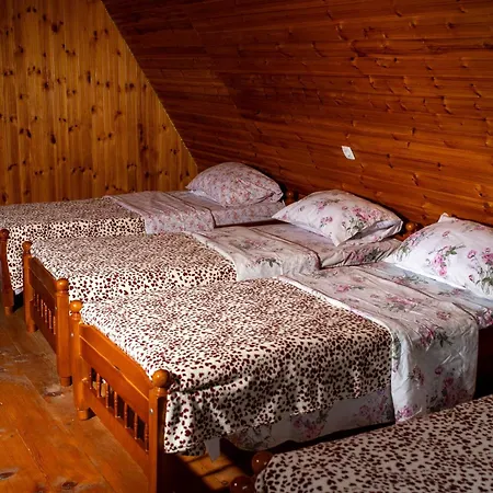 Bujtina Mitaj Villa